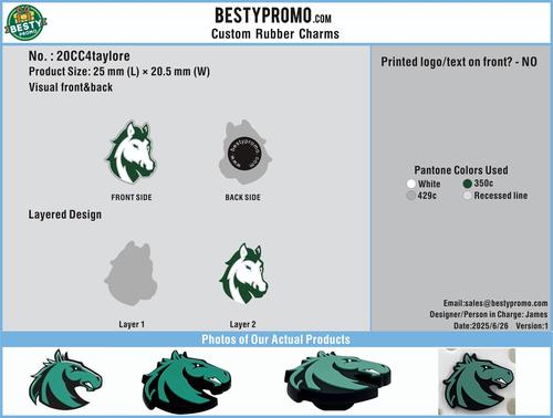 Custom Shoe charms-20CC4taylore 250626