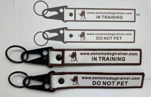Custom Double-Sided Woven Flight Key Tag with Snap Hook-260710-05-RE