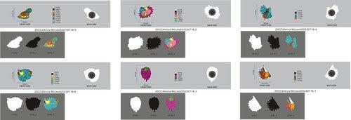 CUSTOM SHOE CHARMS - 20CC4Luke Gaffan