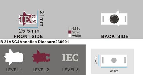 21VSC4Annalisa Dicesare230901