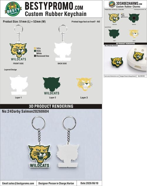 Custom Rubber Clog Charms/Custom 3D Rubber Keychains-20260604-24
