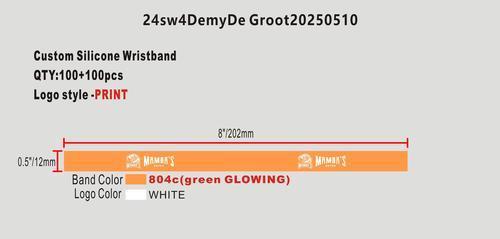 CUSTOM Silicone Wristband-24sw4DemyDe Groot20250510