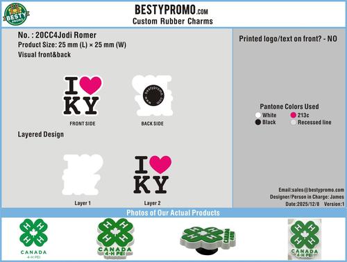 Custom shoe Charms and Wristband-20CC4Jodi Romer-RE