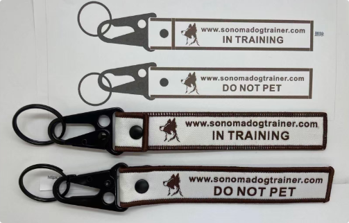 Custom Double-Sided Woven Flight Key Tag with Snap Hook-260710-05-RE